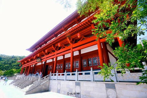 麟游半马 夏日放粽 尽情在 避暑离宫 九成宫25 的夏天里奔跑