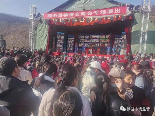 麟游县成功举办冬季商品交易会