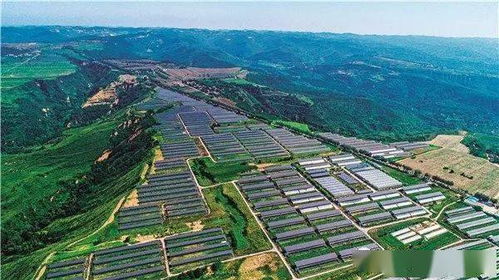 麟游 用汗水浇灌收获 以实干笃定前行