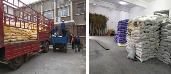 麟游县供销联社三举措全力做好春节期间 稳价保供促生产