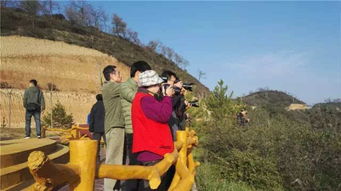 美了,美了,麟游