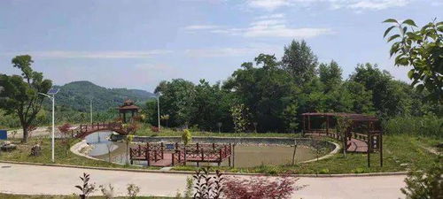 深耕文明乡风 扮靓美丽乡村