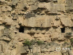 历史悠久的麟游县 带你走进隋唐文化