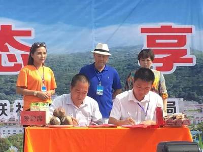 2017年麟游县农特产品推介会成功举办,特色农产品火焰蔘助力当地脱贫攻坚