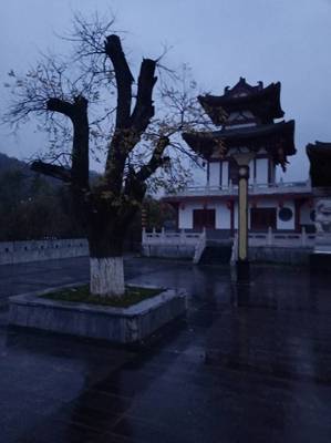 同桌的你(东羊市小学65级丙班同学会)