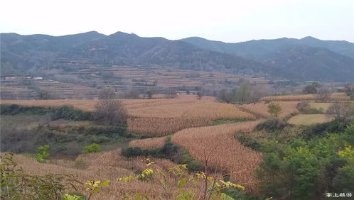 麟游农村的秋天是最美的画卷