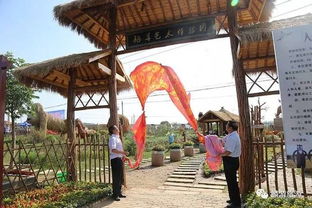 麟游县首届乡村旅游音乐跑马节暨九成宫镇万亩油葵 稻草艺术体验园开园