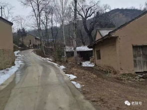 名家专栏 诗咏麟游