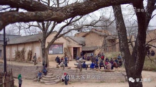 围观 黄土高天 里那些熟悉的麟游面孔