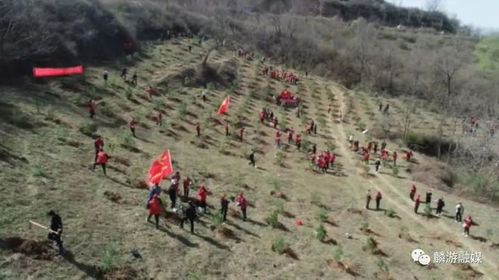 麟游 携手造林添绿 共建美丽家园