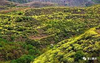 图览麟游,一个美丽的地方