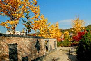 麟游县官坪新区秋景