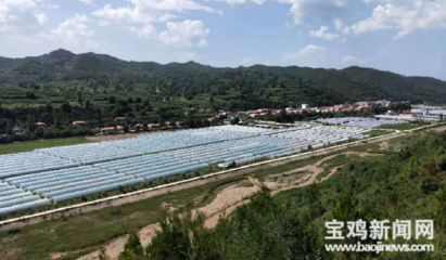 麟游县人民政府 媒体聚焦 【省级文明村镇】宝鸡麟游县酒房镇:文明成为乡村振兴最美底色