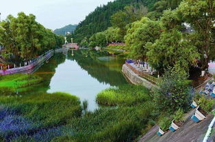 国家卫生城市名单出炉 凤翔 凤县 麟游成功上榜