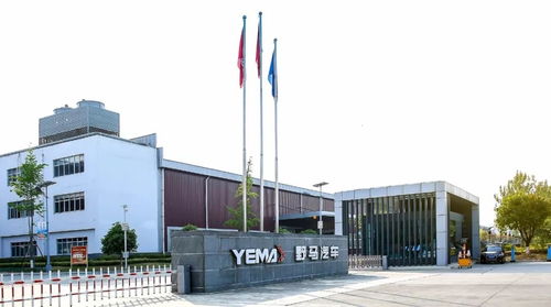 汽势关注 山东雷丁成都牵野马 摘帽低速电动车