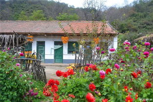 麟游农村的秋天是最美的画卷