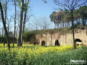 消夏避暑季,绝对干货 麟游县人气住宿餐饮联系方式千万不要错过