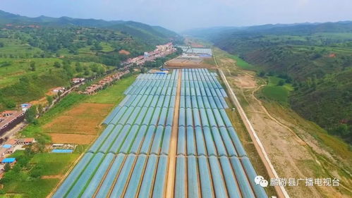 中共麟游县委书记孙敬虎给大家拜年了