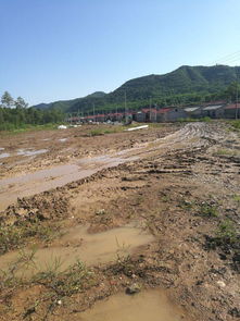 麟游县酒房镇焦家沟村村民用水难 通村道路没硬化