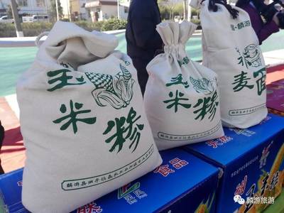 麟游春季旅游文化节暨页岭植绿游百里花廊活动隆重举行