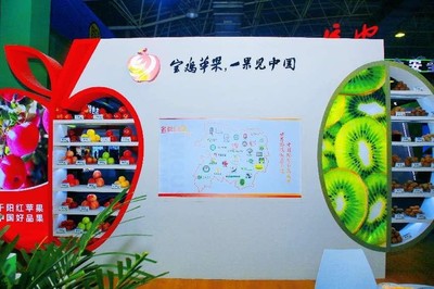 23类80个余个品种600多个产品 宝鸡展团亮相杨凌农高会