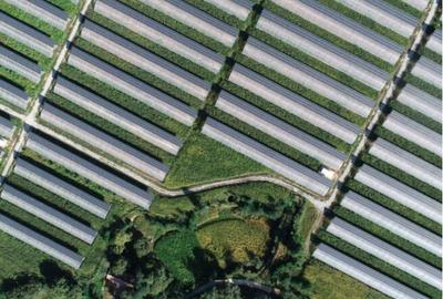 (乡村振兴)陕西麟游:山区搬迁群众过上安居乐业新生活