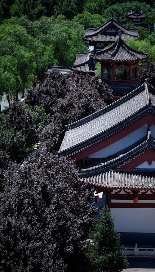 陕西麟游九成宫:历史与文化瑰宝