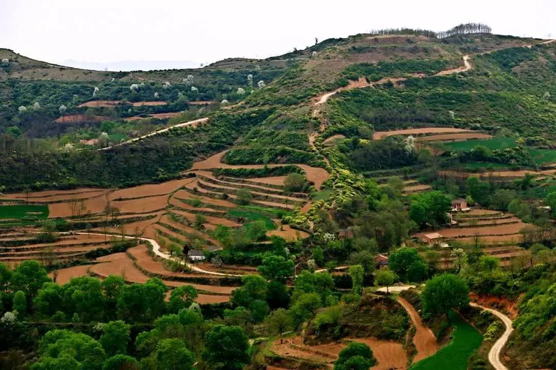 【来稿欣赏】诗画麟游