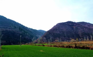 陕西这条醉美公路,沿途粉色花海已经藏不住了