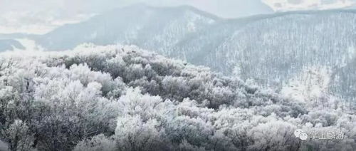 读诗赏雪,浪漫麟游