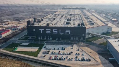 为特斯拉供应刀片电池,是比亚迪太强,还是特斯拉太傻