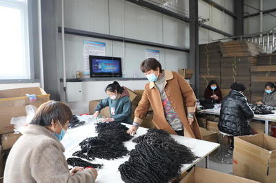 许昌市建安区椹涧乡水潮店村:档发产业带动困难群众就业增收