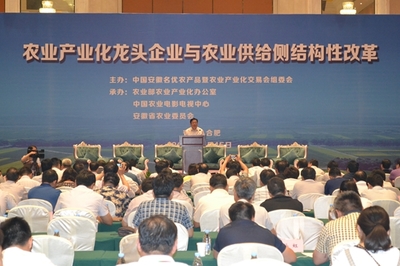 农业产业化龙头企业与农业供给侧结构性改革 推进改革与企业发展论坛