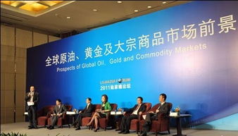大宗商品大幅波动已成常态 马文胜在2011陆家嘴论坛上的洞见与启示